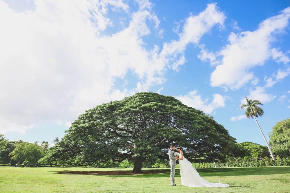 Moanalua Garden モアナルアガーデン Location ハワイ挙式 ハワイフォトウェディングのチアーズウェディング